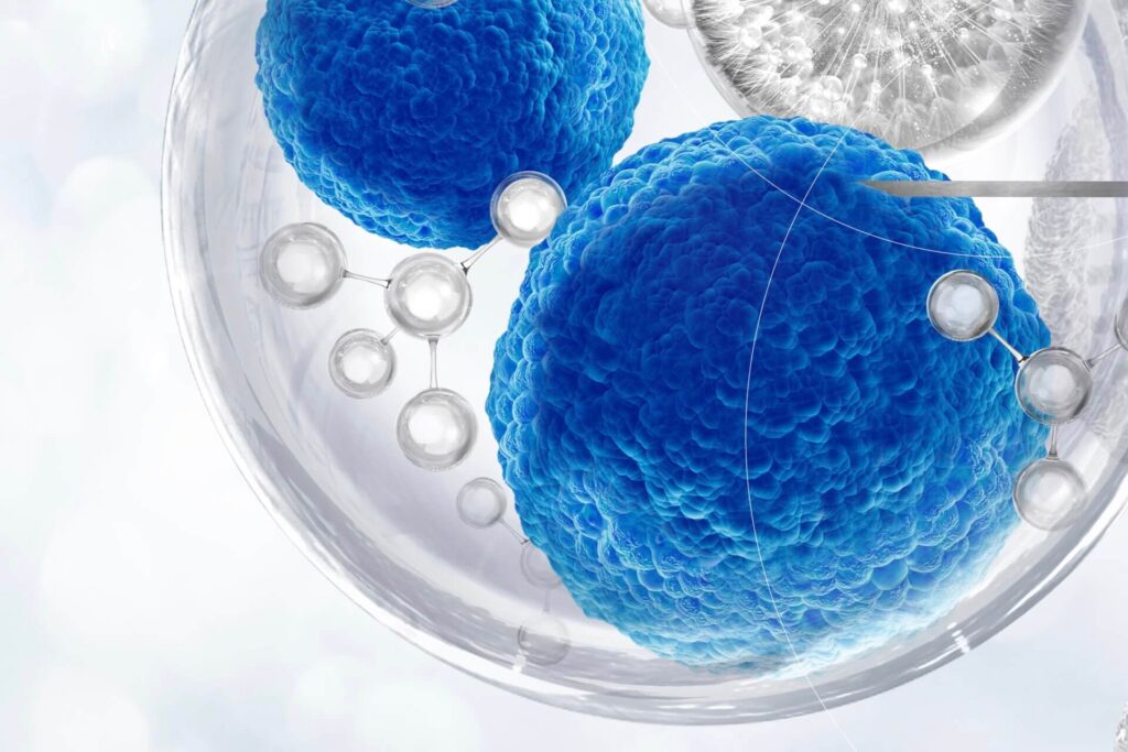 Close-up of stem cells in a petri dish, highlighting SCIRENT’s focus on cell therapy for cardiovascular conditions.